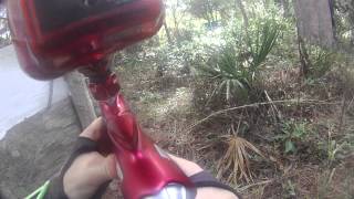 proto pm6 gameplay