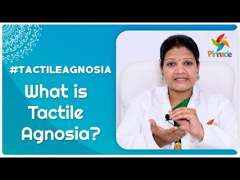 #TactileAgnosia - What Is Tactile Agnosia ? - | Pinnacle Blooms Network - #1 Autism Therapy Centres