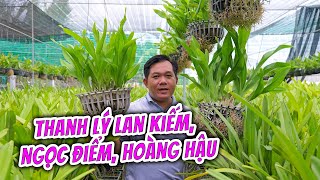 THANH LÝ LAN KIẾM, NGỌC ĐIỂM, HOÀNG HẬU  CẢI TẠO VƯỜN [0339282789 - 0334282789]