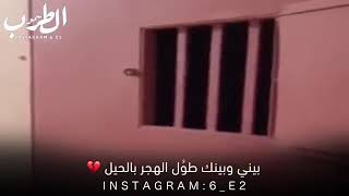 بيني وبينك طول الهجر بالحيل //(حالات واتس اب 2019))