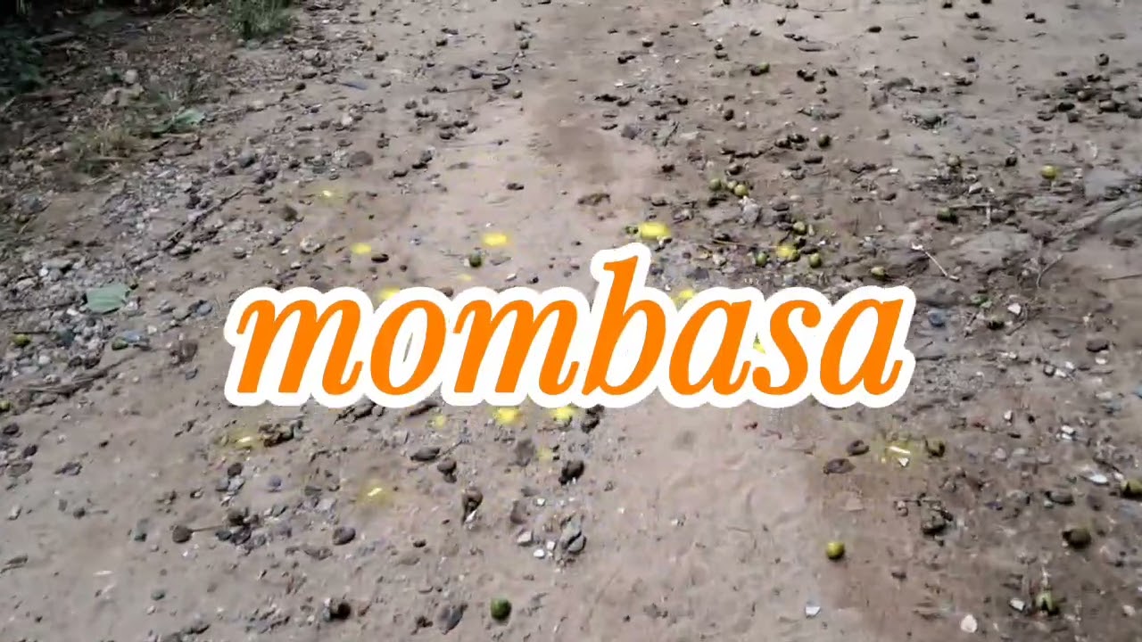 A Walk of Two Continents.