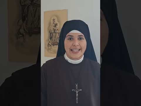 Rosary for August 29, 2026 🌱🪻🌱🪻🌱 JOYFUL MYSTERIES. Samaritan Carmelites, cscj.