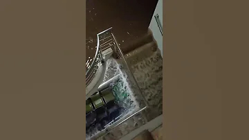 نادرا ریجنل آفس جی ٹین کی صورتحال 