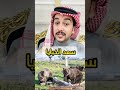 سعد الخبايا اخر السعودات ما قصته ومتى موعده سائد السردي