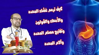 كيف ترمم غشاء المعده 🌿 والأمعاء والقولون🌿 وتفتيح مسام المعده🌿وآلام المعده