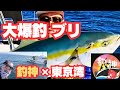 【大爆釣ブリの釣神さんと】 #釣神 #寒ブリ #東京湾
