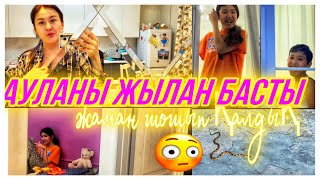 АУЛАНЫ ЖЫЛАН БАСТЫ😳/СКРЫТАЯ КАМЕРА 🎥🤭#казакша