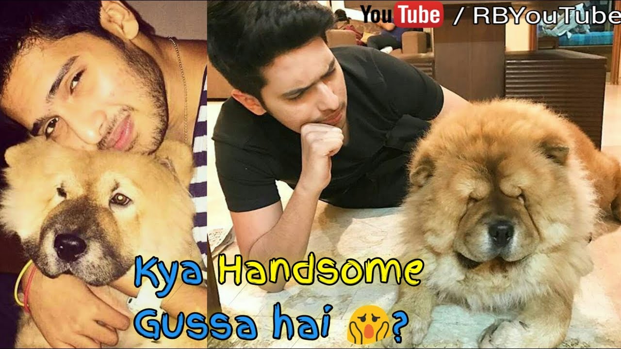 ARMAAN MALIK shocked, Handsome behaving like this after NewZealand trip | R B YouTube 2017