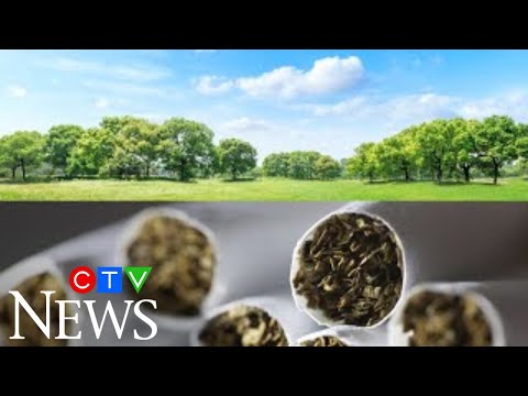 Do smokers living near parks have an easier time quitting?