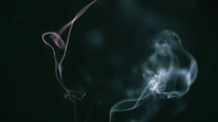 Bibio - Encens