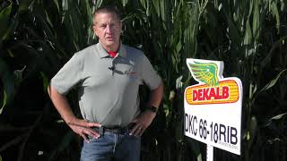 DKC66-17/18RIB