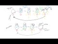 Class III Anti Dysrhythmics Potassium Channel Blockers