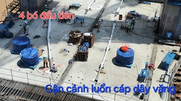 Cầu Rạch Miễu 2 ngày 30-7: Xem 