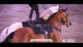 Cavalli A Roma. Il Salone Dellequitazione E Dellippica A Fiera Roma