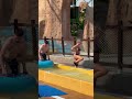 The Best Water Park Hot Nice Holiday Waterslide Waterworld 