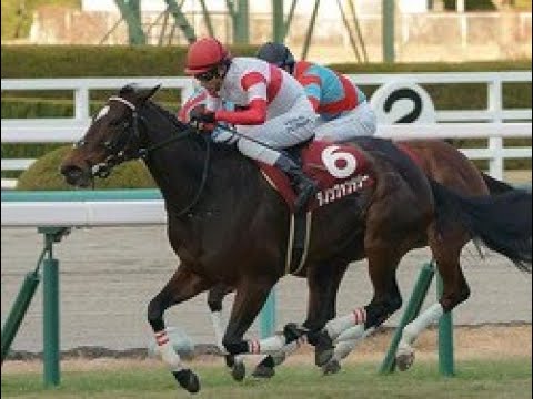 【スワンS前日オッズ】ダノンファンタジーが2.9倍で1番人気|Top News
