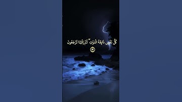 اية من سورة العنكبوت #القرآن_الكريم ارح نفسك و عقلك بصوت عبد الرحمان مسعد