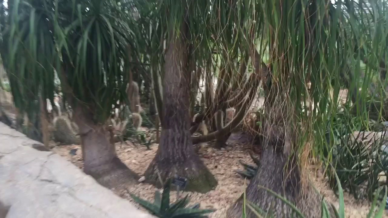 RHS Wisley, The Glasshouse.
