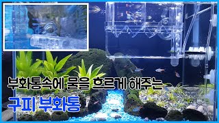 구피부화통 - 레인바를 장착한 부화통이라고? / 구피출산 - 구피치어 탄생 순간!