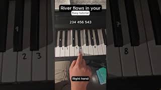 The ultimate guide to playing "River Flows in You". 🎹🌊 #riverflowsinyou #yiruma #pianotutorial