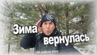 Снежная весна в Сибири