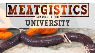 Blood Sausage (Boudin Noir) Recipe - Specialty Sausage 104