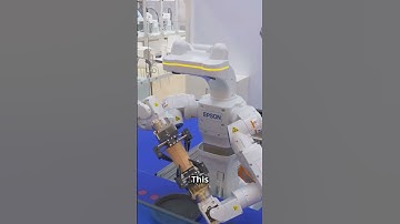 How Lizards Inspired Modular Robots