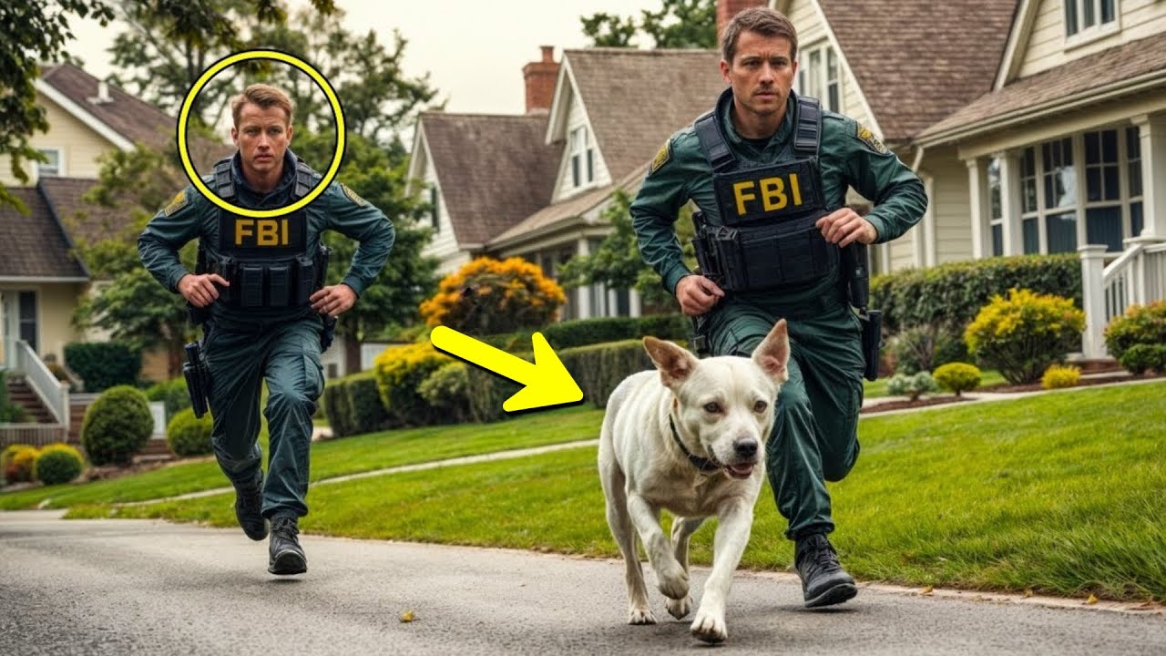 Πράκτορες του FBI ακολούθησαν αδέσποτο σκύλο – Αυτό που βρήκαν τους σόκαρε
