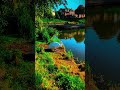 Short video clip of nature