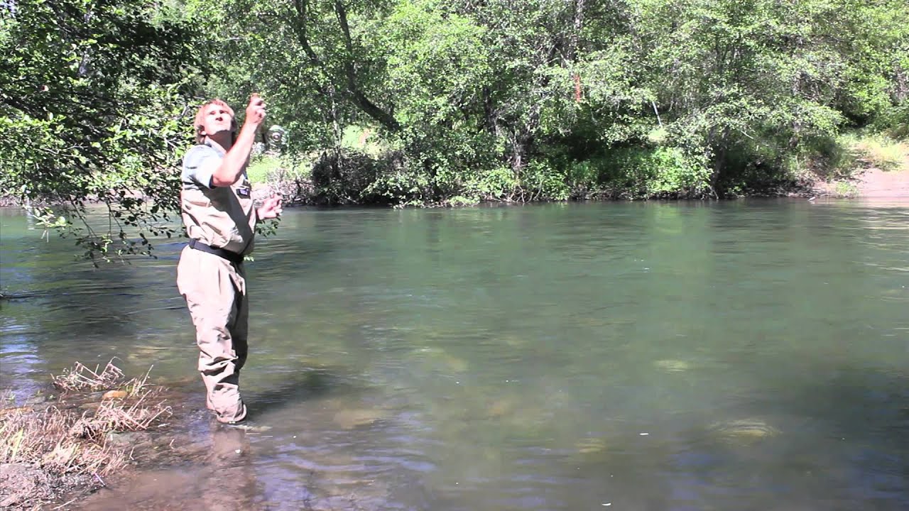 Fly Fishing How To Video 