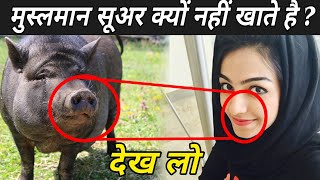 जानिए इस्लाम में सूअर का मांस खाना हराम क्यों है ? | Why Pork Is Haram In Islam In Hindi