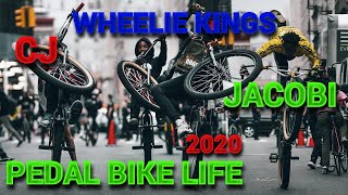 Cj and jacobi pedal bike life wheelie ...