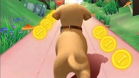 Dog Run:My Talking Pet Runner || Dog Puppy Run Game || Top Trending Game 2022 || @Gofast Running