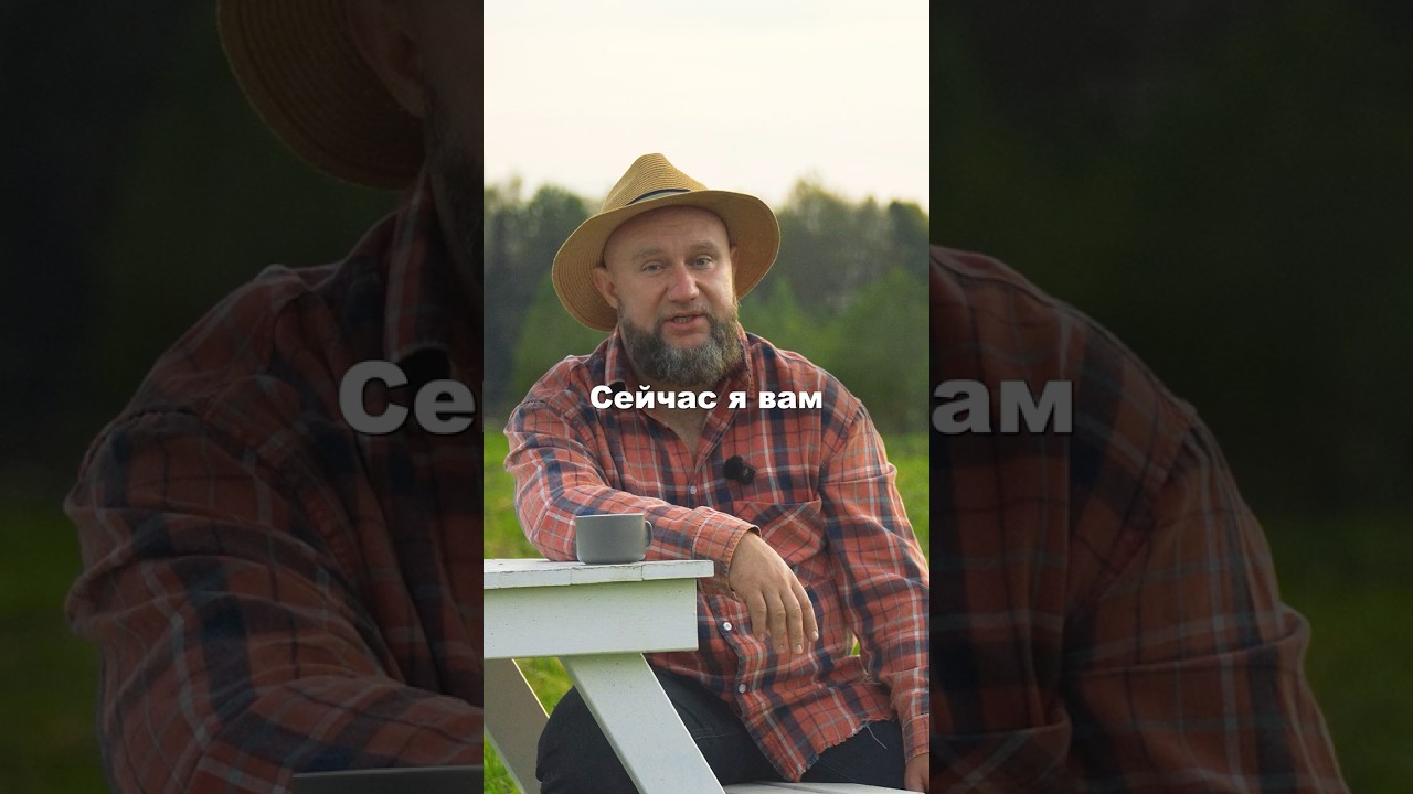 Вот почему мясное животноводство лучше, чем молочное! 