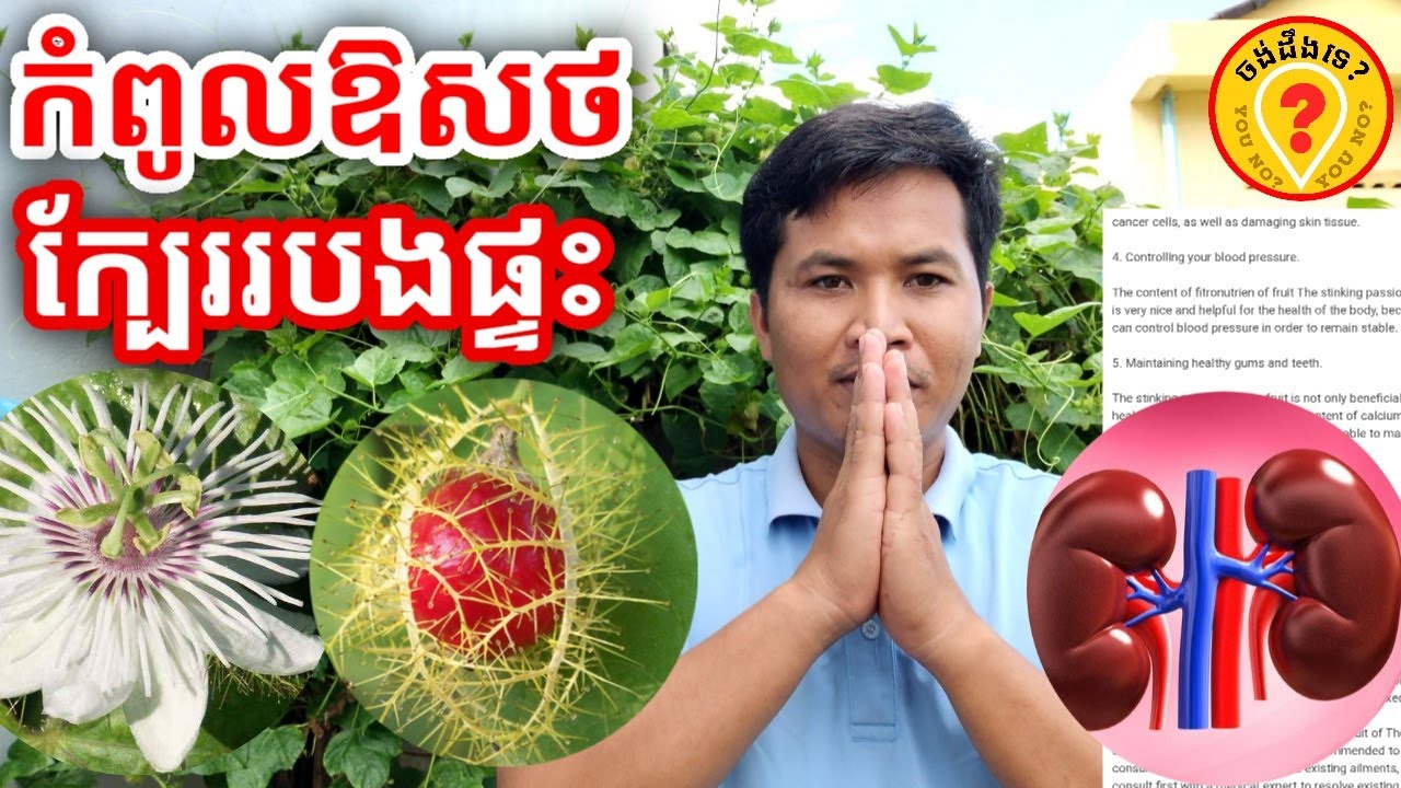 Advantages of Passiflora foetida or passion flower អត្ថប្រយោជន៍របស់សាវម៉ាវព្រៃ