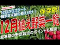 12月植え野菜一覧（厳寒期の野菜栽培を成功させるコツも解説！）