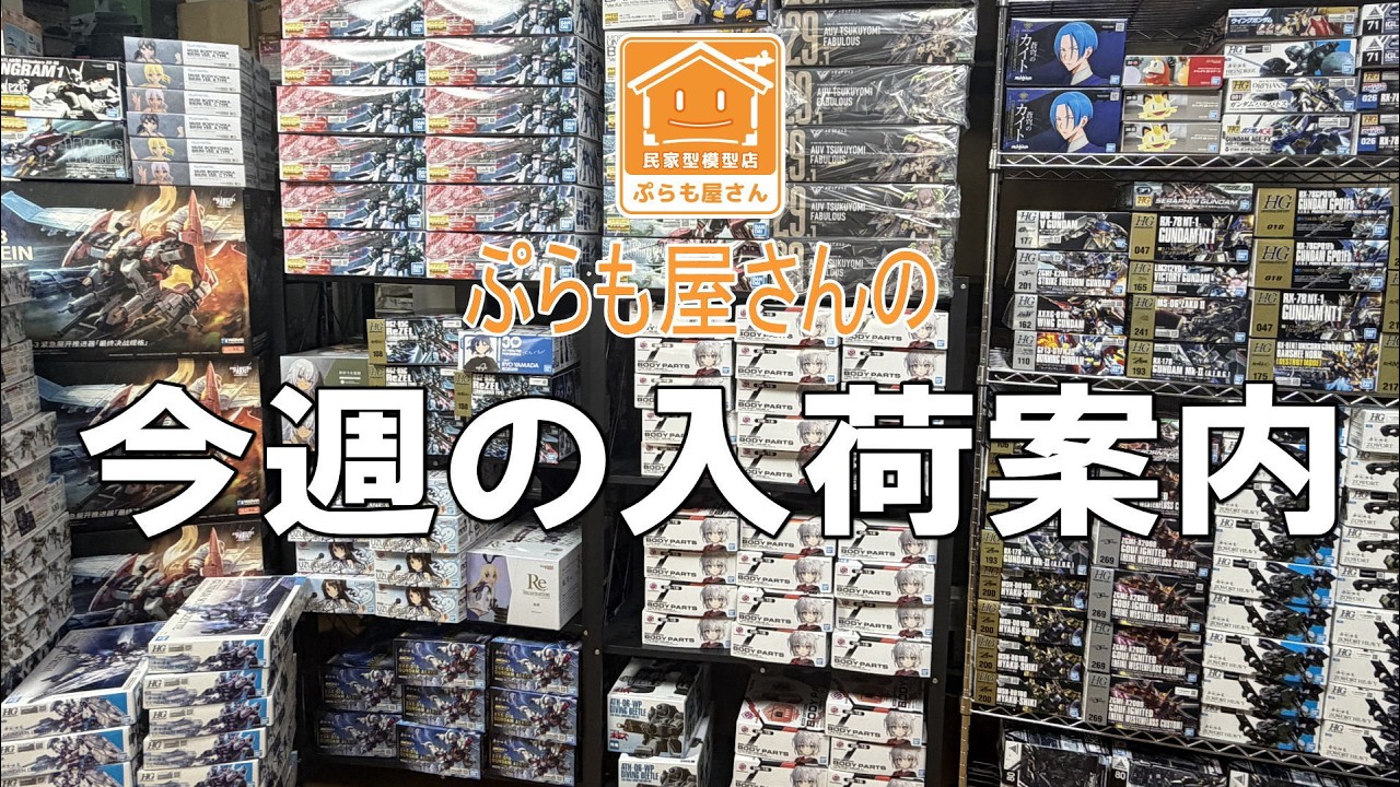 最終値下げHG9体まとめ売りセットバラ売り不可 ガンプラまとめ売り