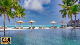 Beach Pool Lounge at Gili Lankanfushi  4K with summer lounge jazz