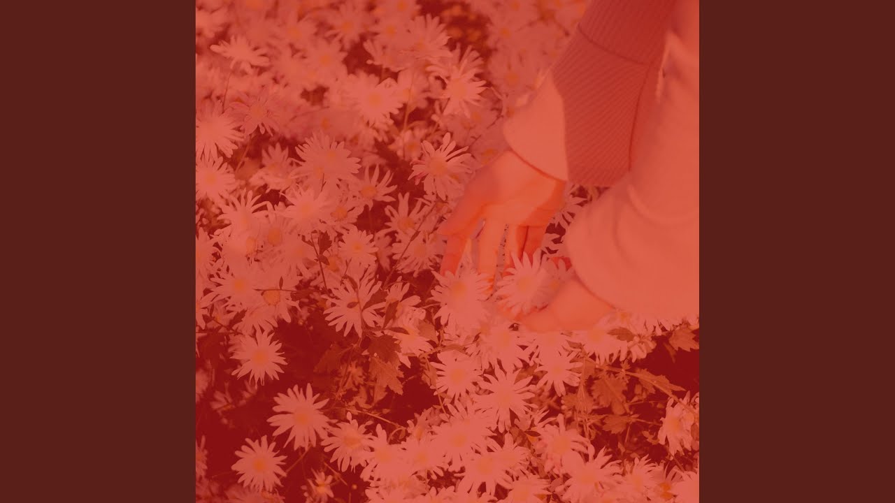 Uplifting Bebop Trumpet - Vibe for Rising for the Day