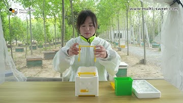 Multi-sweet Bee queen mating box nuc box