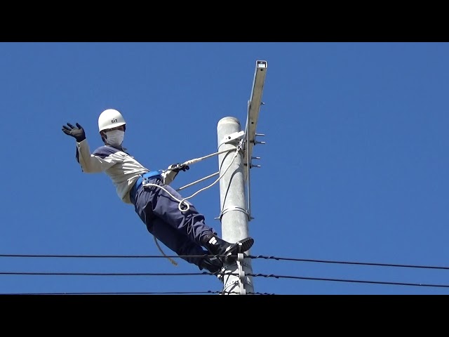 電信柱登ったり木を登ったりする時のべルㇳです。 電柱に昇る！【電気工事士直伝！昇柱実習】～電柱の昇り方～ - YouTube