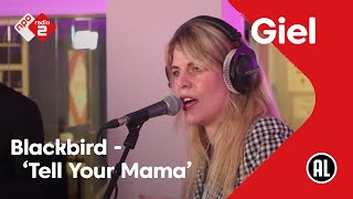 Video thumbnail of "Blackbird - Tell Your Mama | NPO Radio 2"