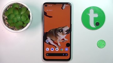 Android 14: How to Apply Dark Theme?