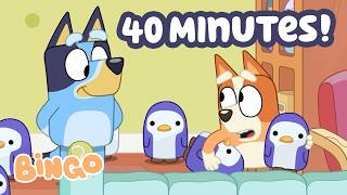 Bingo And Bluey Play Neighbours!🧡🏠 | 40 Minutes Of Fun Moments | Bingo Official Channel