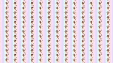 Intro for loopykitty11 AJ (CE)