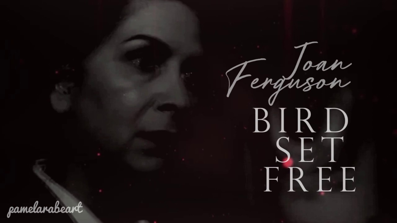 Joan Ferguson - Bird Set Free