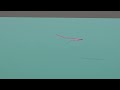 Fly Casting Simulation TRY11 3rd try at the snake roll スネークロールの改善中です