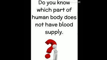 "Which Body Part Has NO Blood 🩸Supply? 🤯 | Surprising Answer!"#shorts