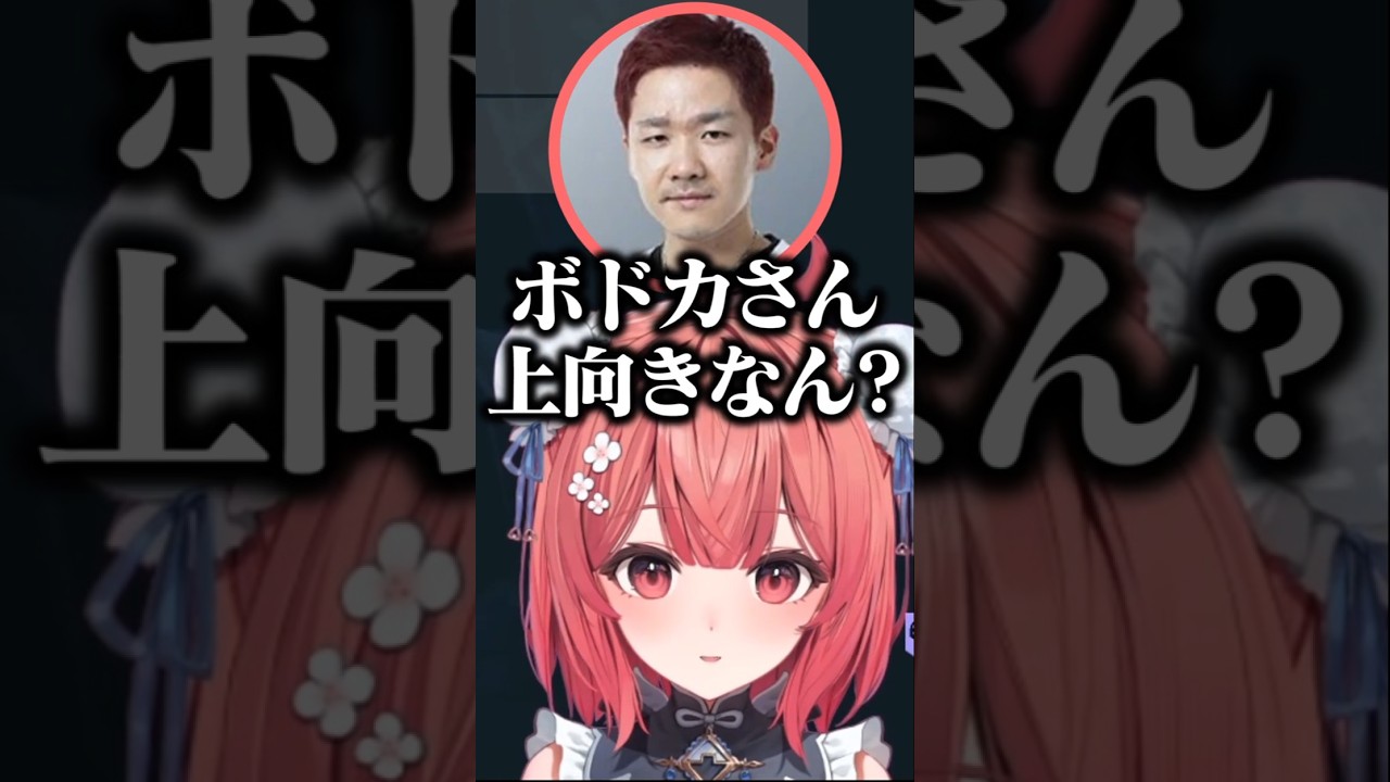 トイレ事情で盛り上がる男性陣に対して反省を活かすあかりん【夢野あかり/ぶいすぽ/切り抜き】