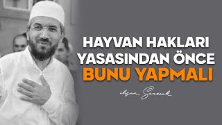 Hayvan Hakları Yasasından Önce Bunu Yapmalı